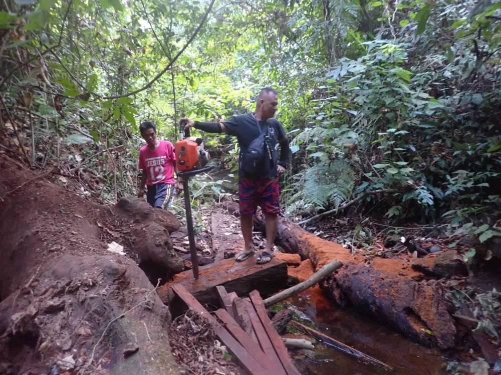 Image of Teofilo Tredez holding a confiscated chainsaw in a forest